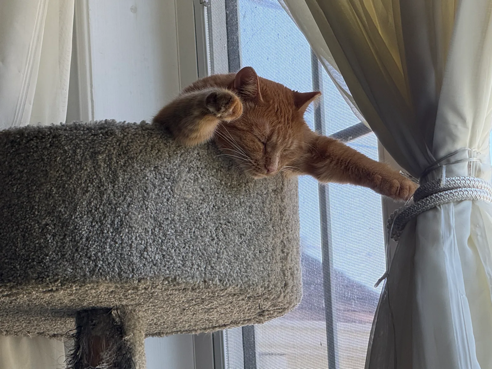 Dr. Roberta Bondar: Oops. I fell asleep.