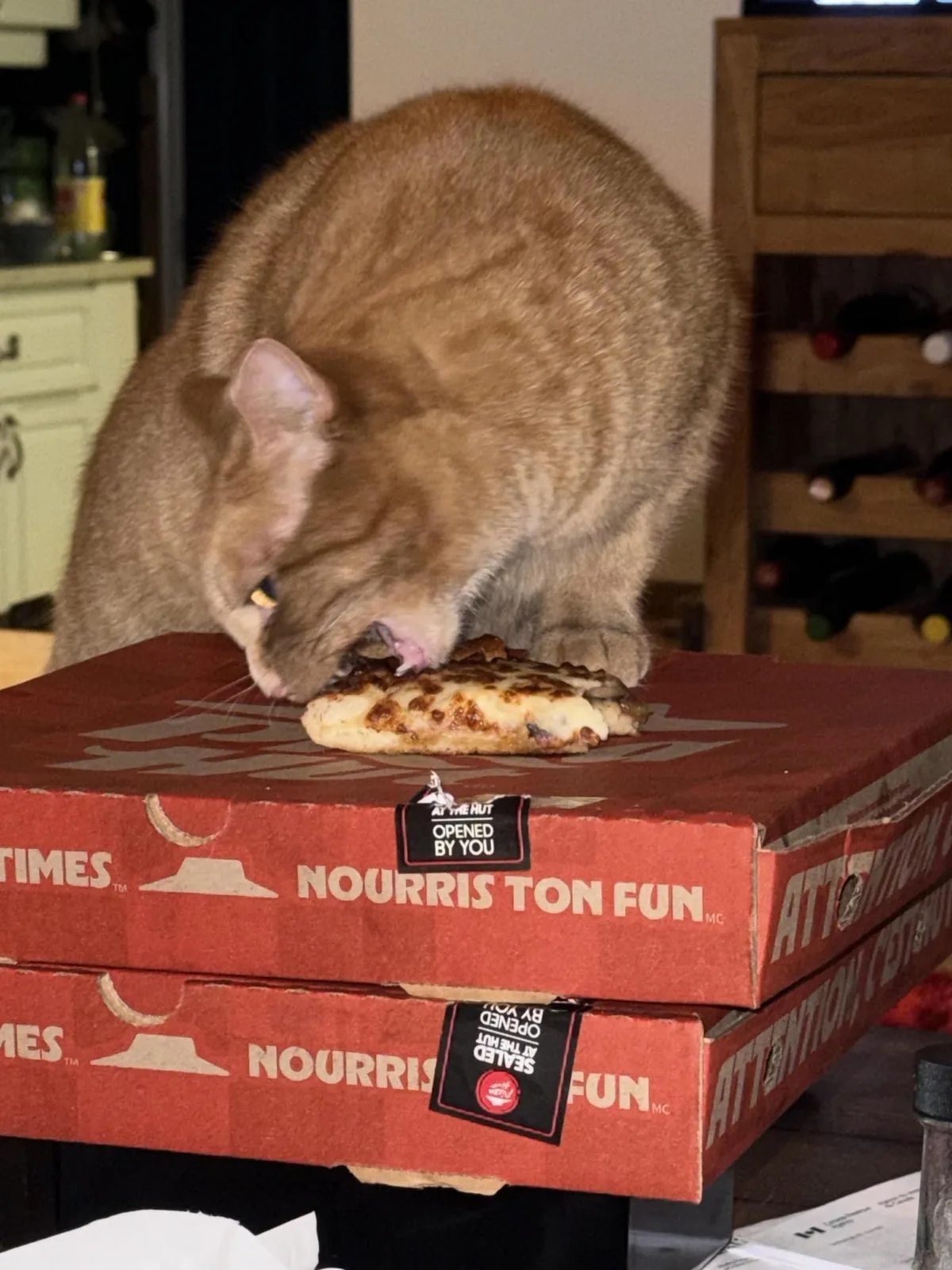 Dr. Roberta Bondar: Oooh! Is this pizza?!