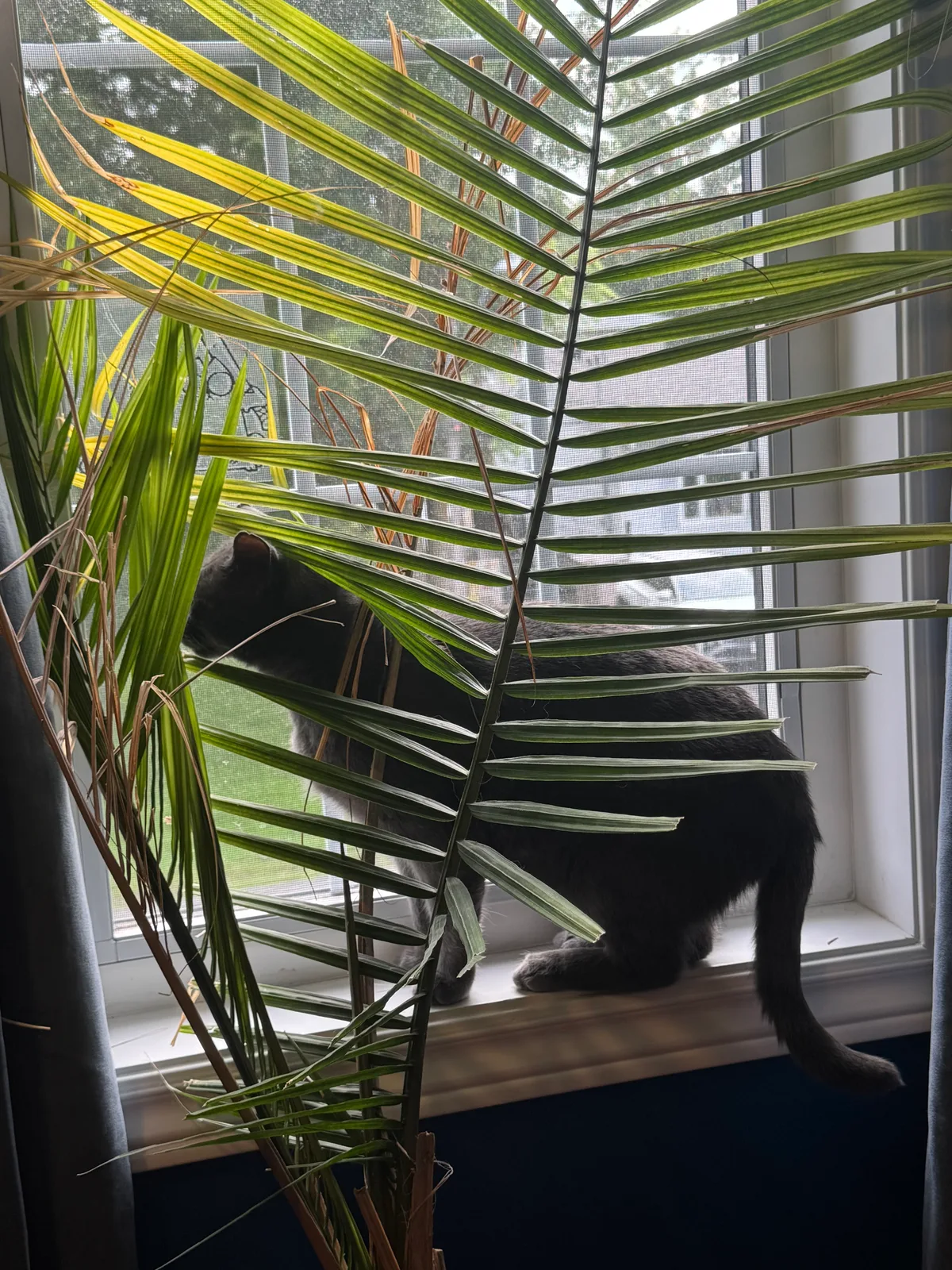 Seven: I’m hiding so nobody can see me.