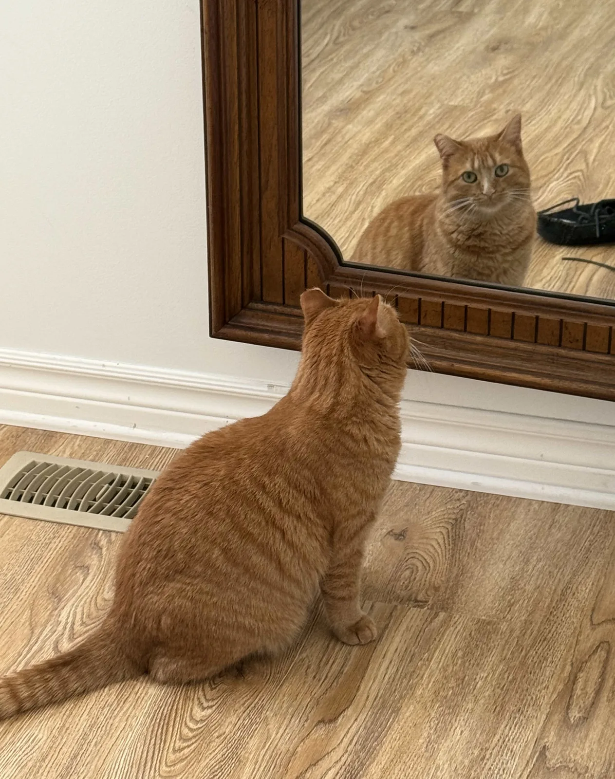 Dr. Roberta Bondar: Mirror mirror on the wall
Who's the cutest goblin of them all?